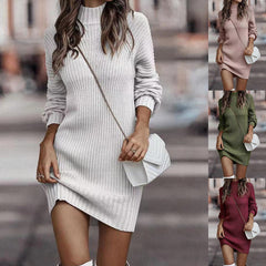 Turtleneck Sweater Women Long Sleeve Knit Sweater Dresses