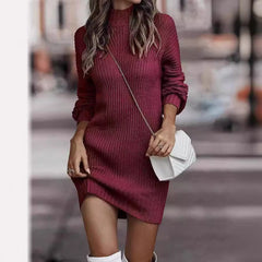 Turtleneck Sweater Women Long Sleeve Knit Sweater Dresses